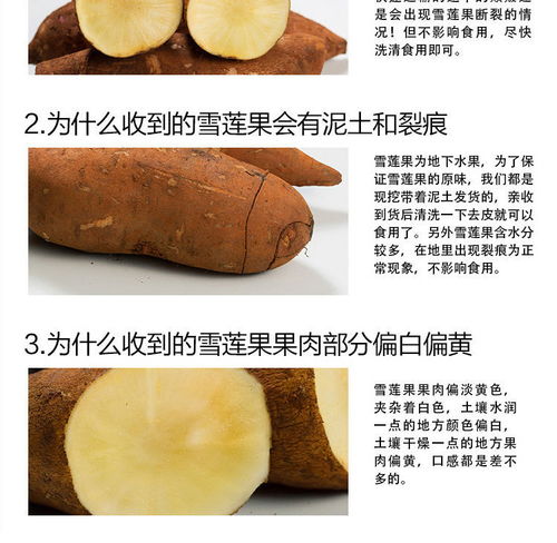 云南天山红泥沙雪莲果 高原珍品的大众化之路