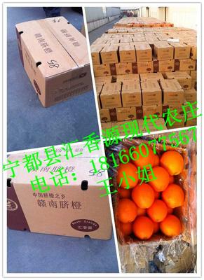 秋冬之选 赣南脐橙如何兼顾滋味与品质？